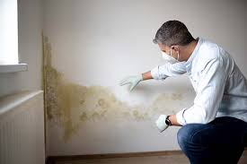 Why You Should Choose Our Mold Remediation Services in Leland Grove, IL